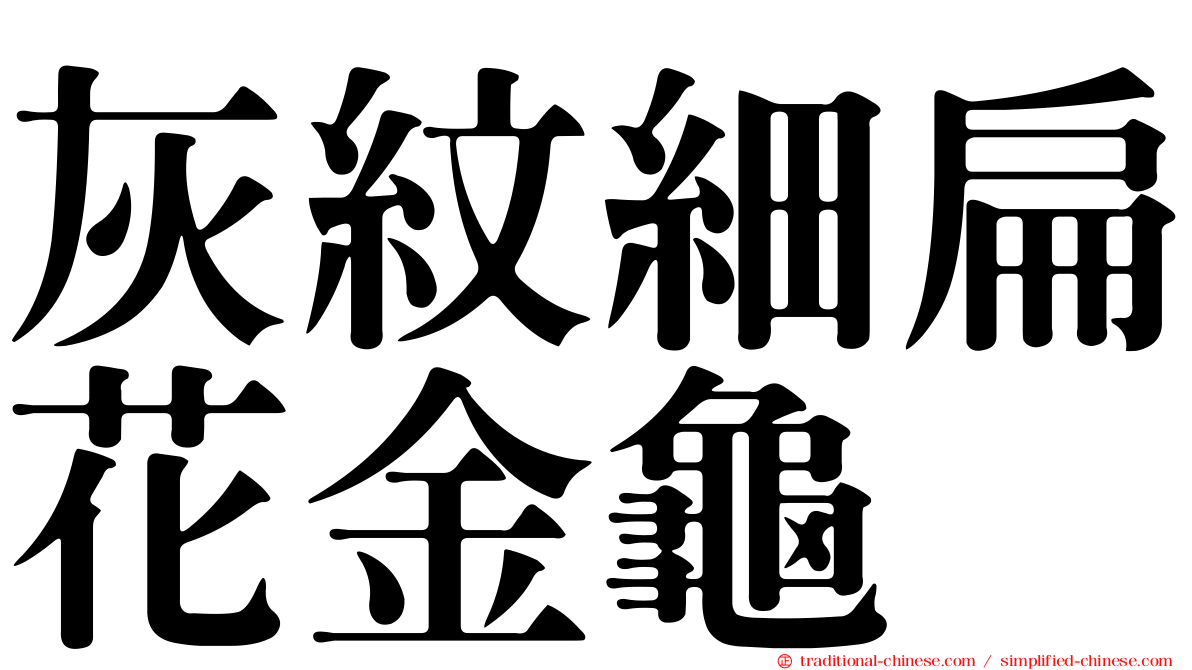 灰紋細扁花金龜