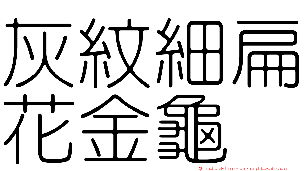 灰紋細扁花金龜