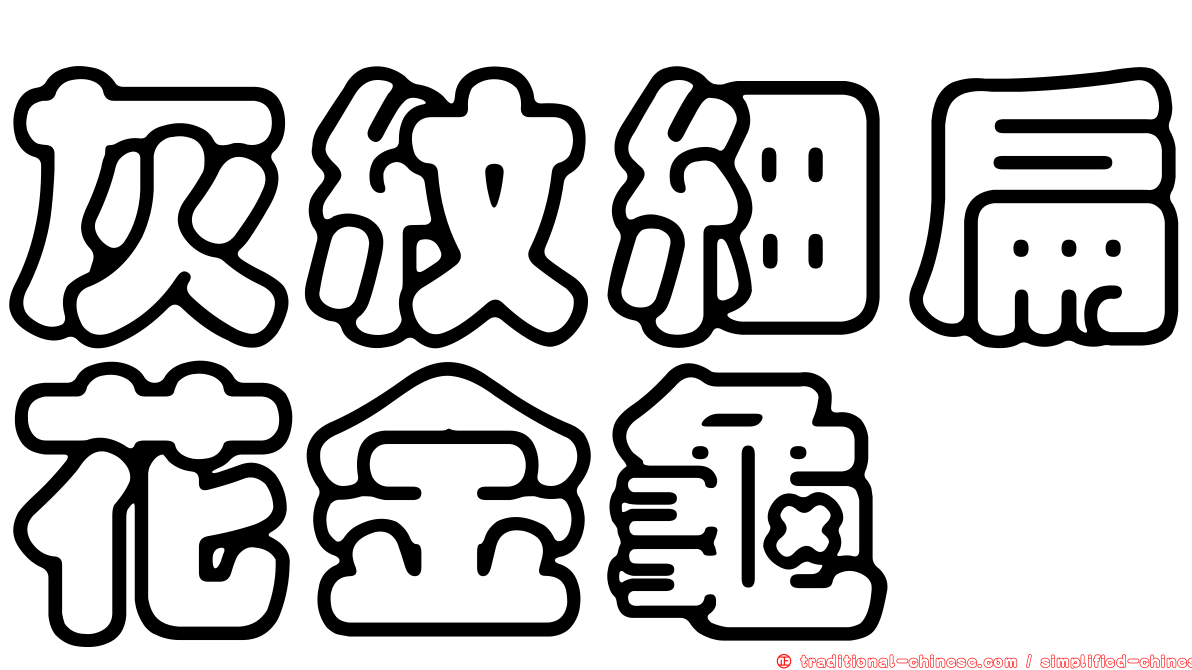 灰紋細扁花金龜