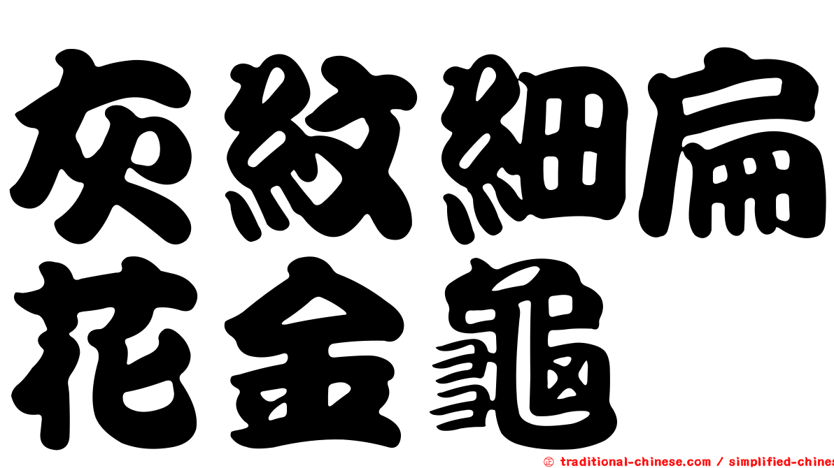 灰紋細扁花金龜