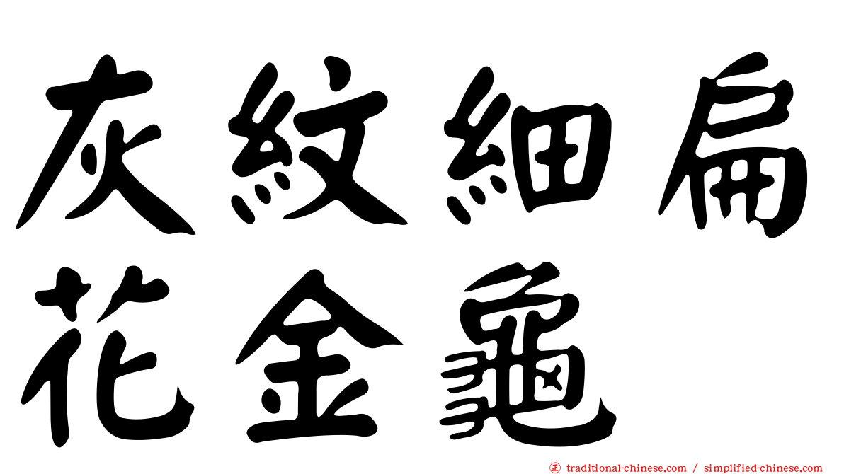 灰紋細扁花金龜