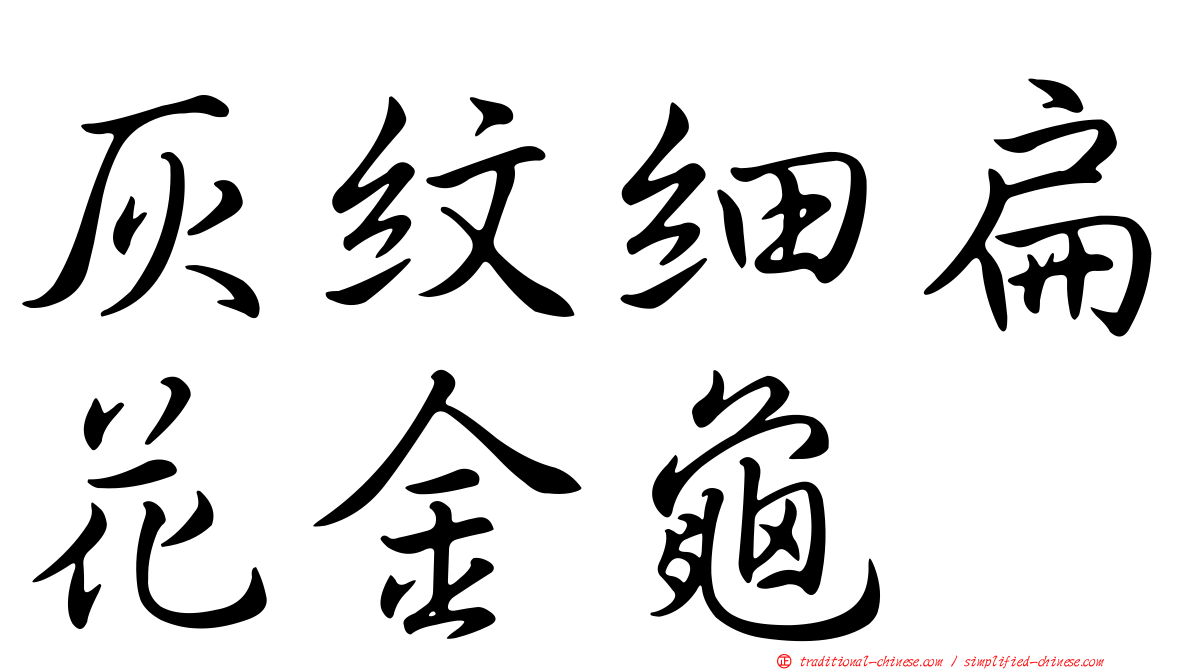 灰紋細扁花金龜