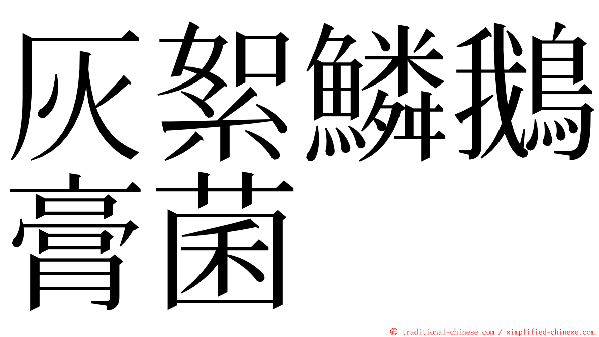 灰絮鱗鵝膏菌 ming font