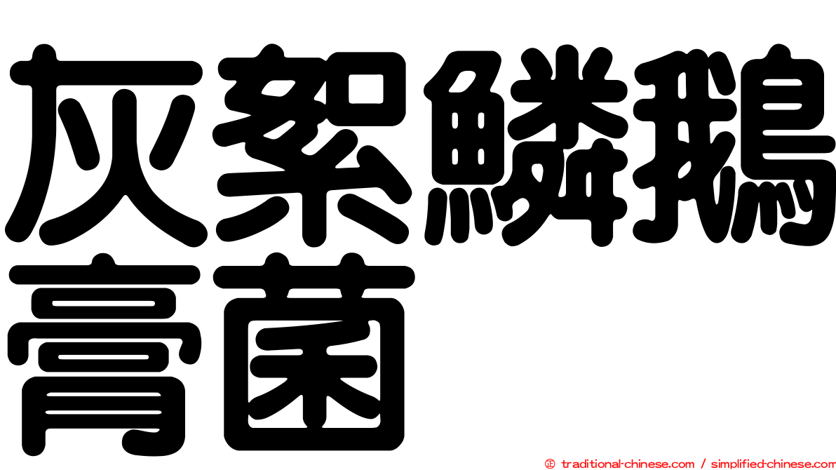 灰絮鱗鵝膏菌