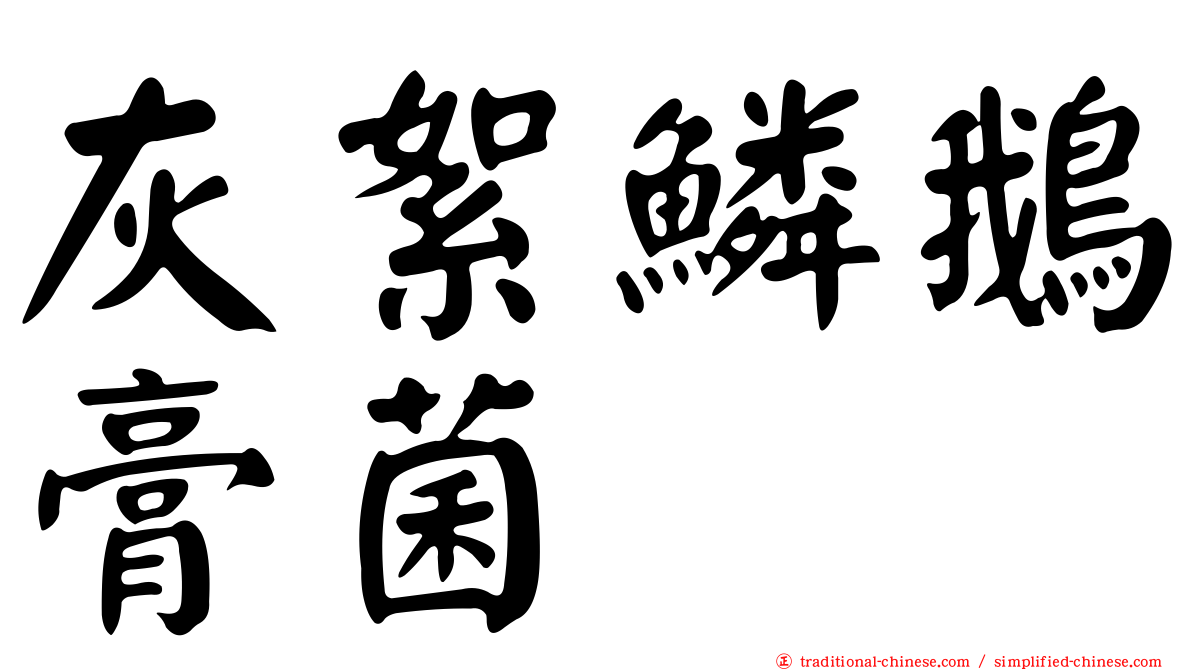 灰絮鱗鵝膏菌