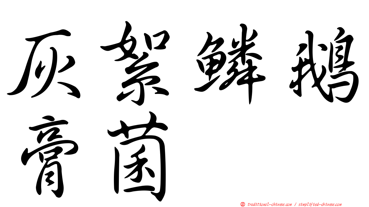 灰絮鱗鵝膏菌