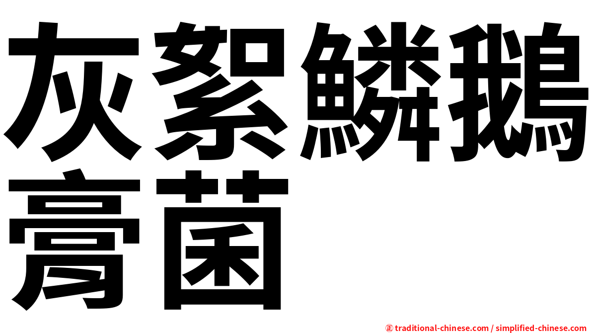 灰絮鱗鵝膏菌