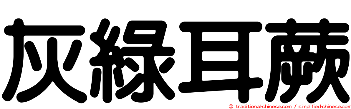 灰綠耳蕨