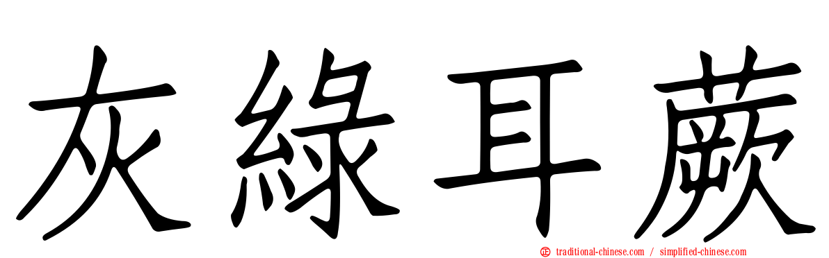 灰綠耳蕨