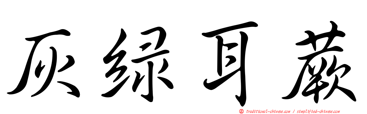 灰綠耳蕨