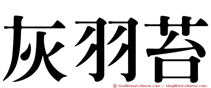 灰羽苔
