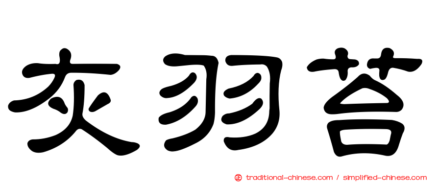 灰羽苔