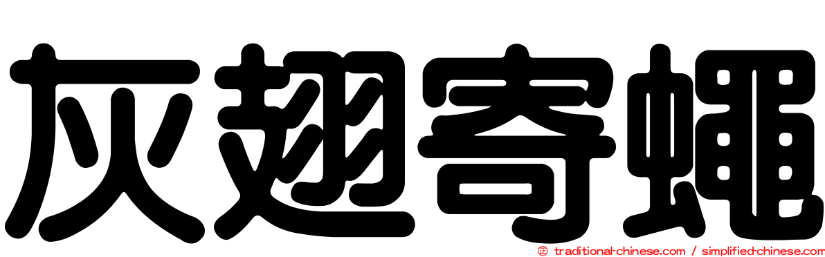 灰翅寄蠅