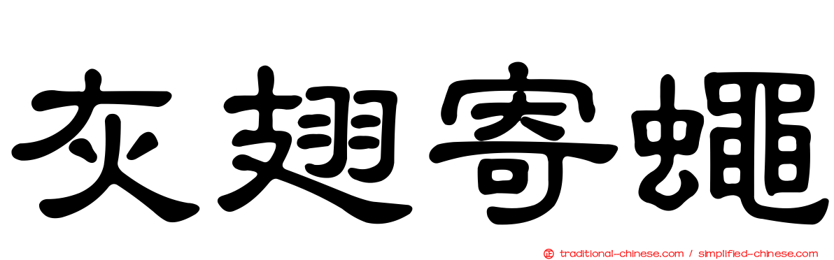 灰翅寄蠅