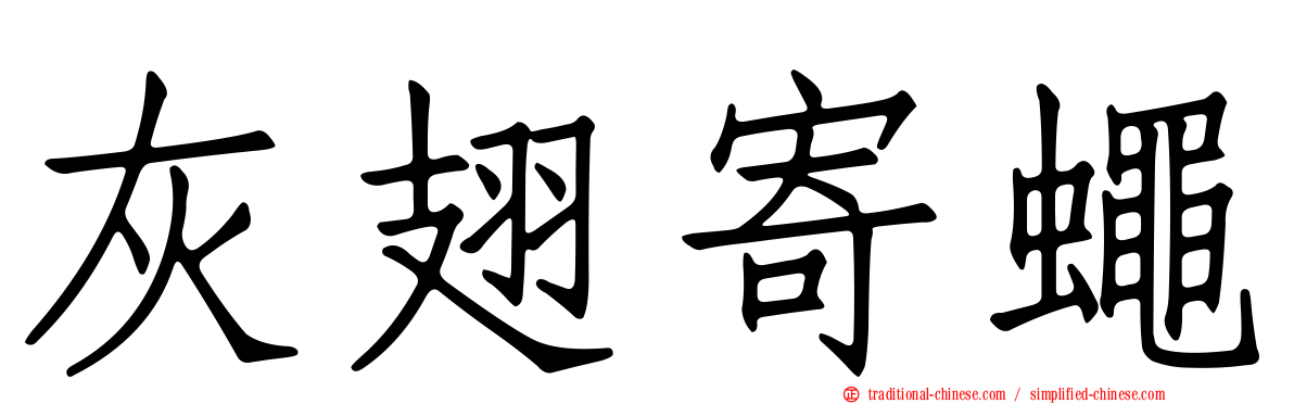 灰翅寄蠅