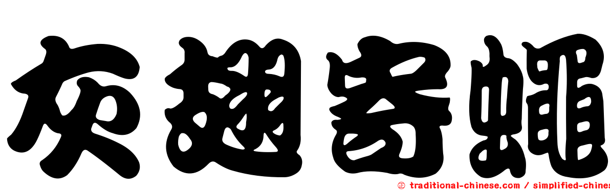灰翅寄蠅