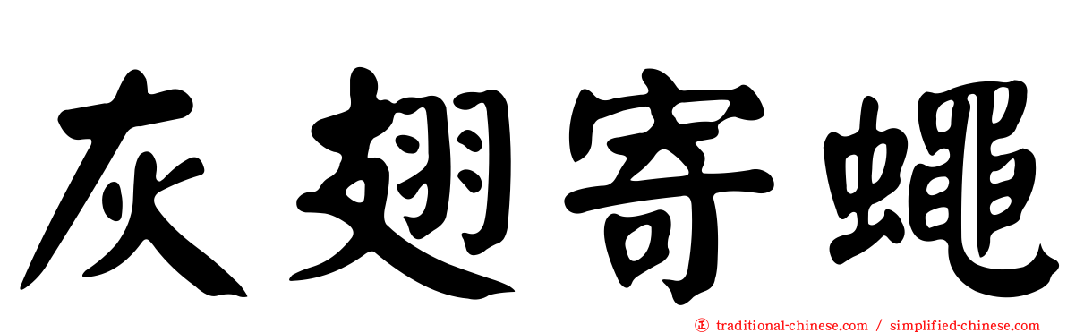 灰翅寄蠅