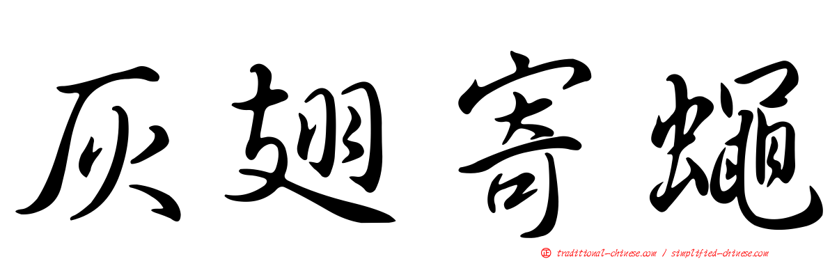 灰翅寄蠅