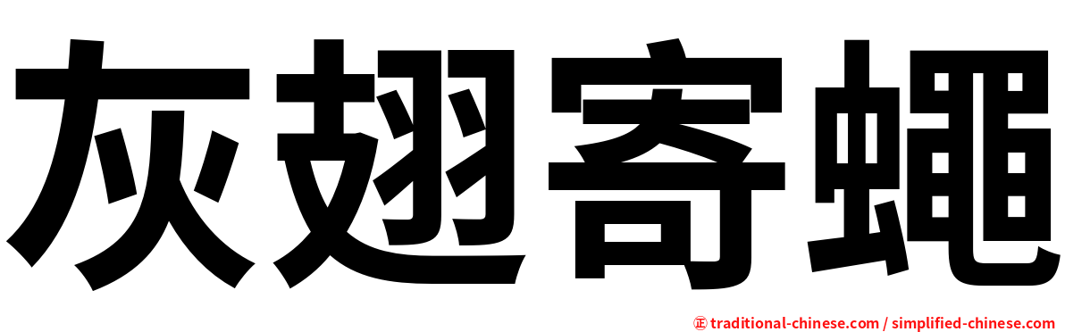 灰翅寄蠅