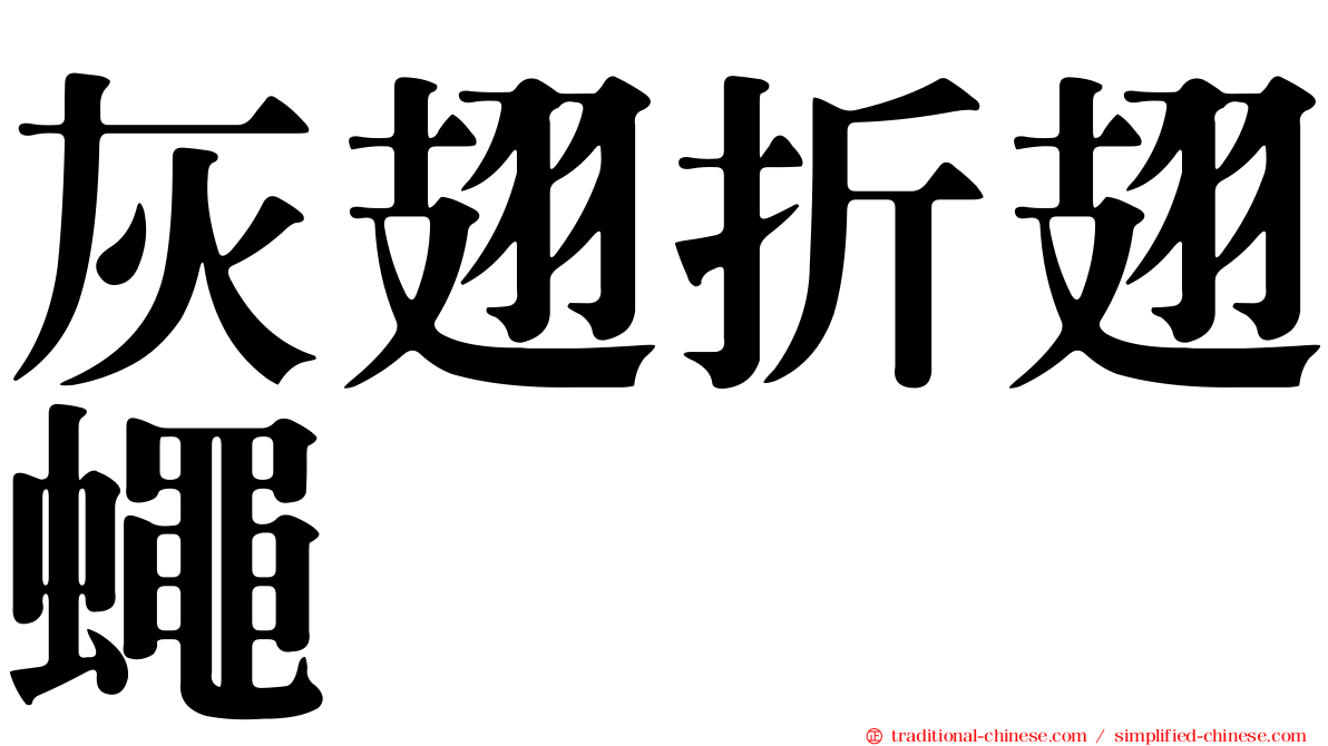 灰翅折翅蠅