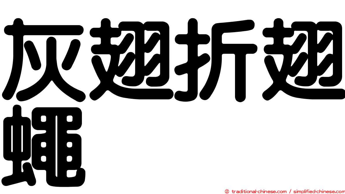 灰翅折翅蠅