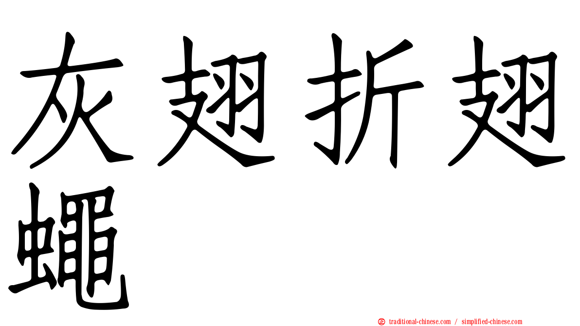 灰翅折翅蠅