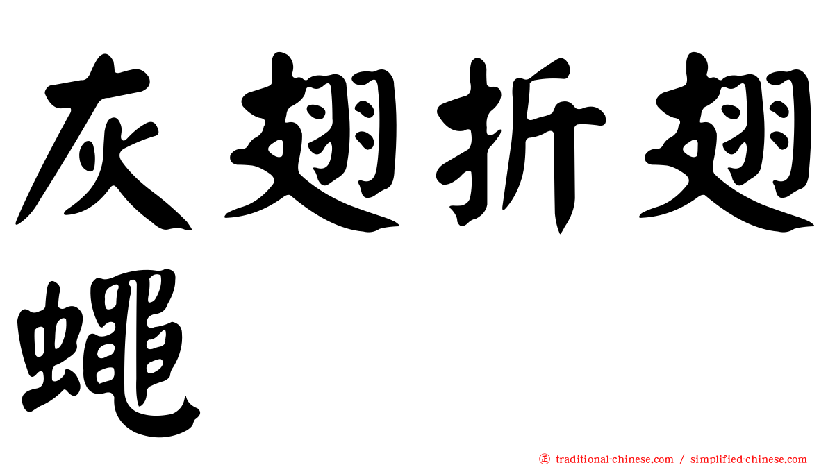 灰翅折翅蠅