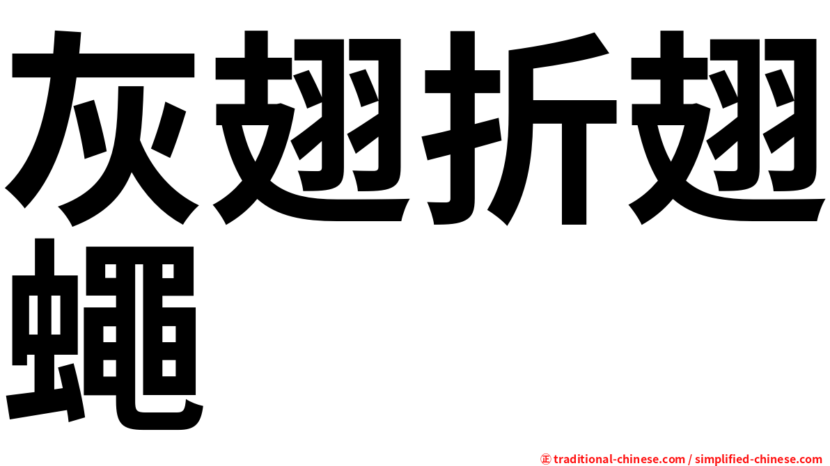灰翅折翅蠅