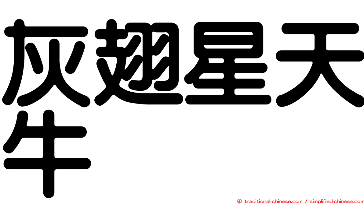 灰翅星天牛