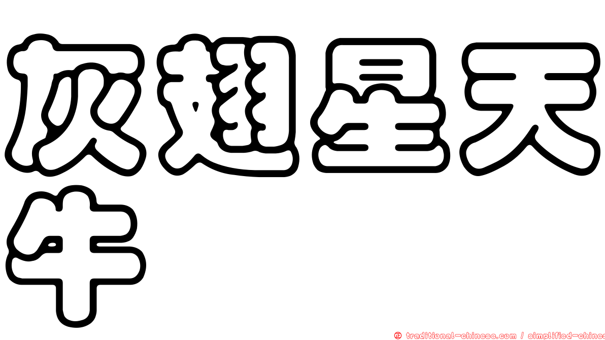 灰翅星天牛