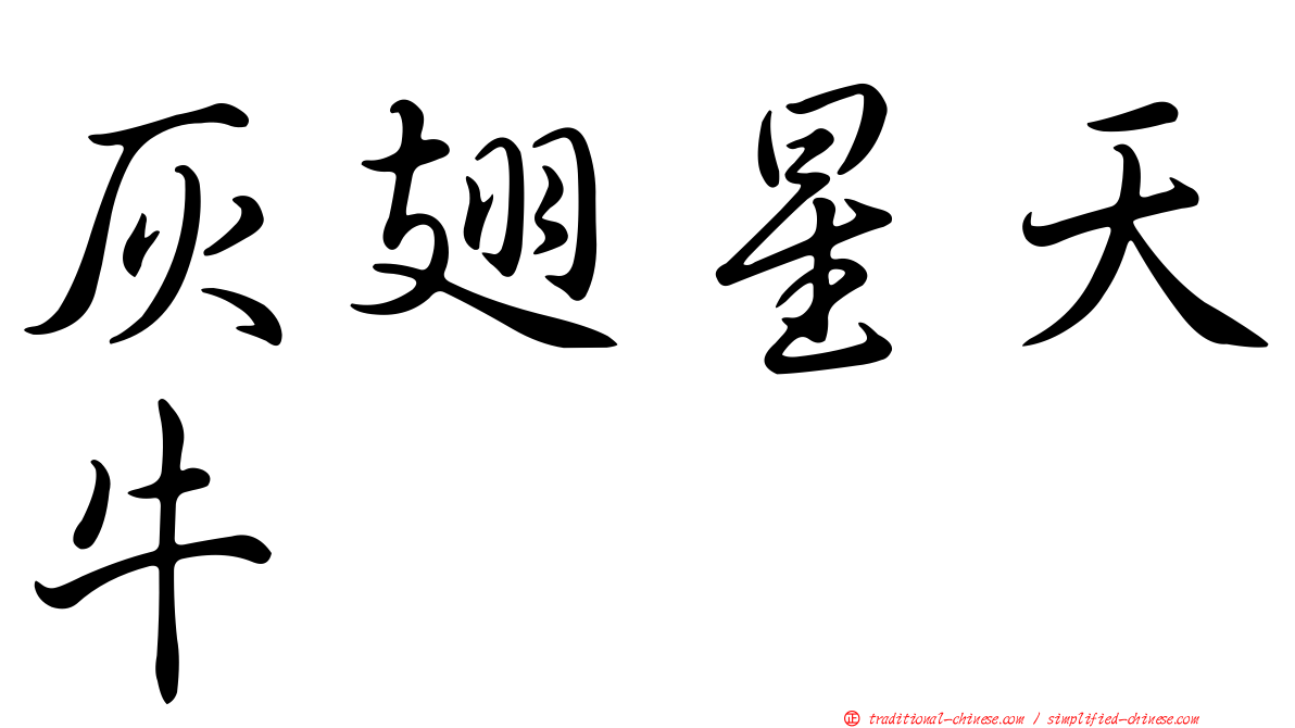 灰翅星天牛