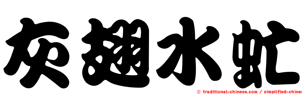 灰翅水虻
