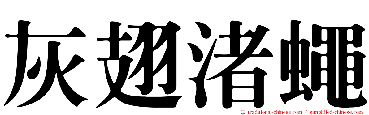 灰翅渚蠅