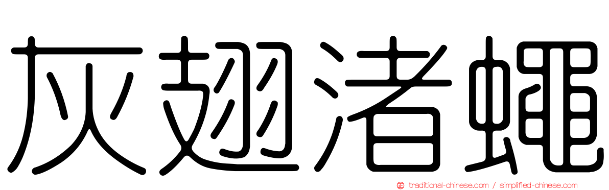灰翅渚蠅