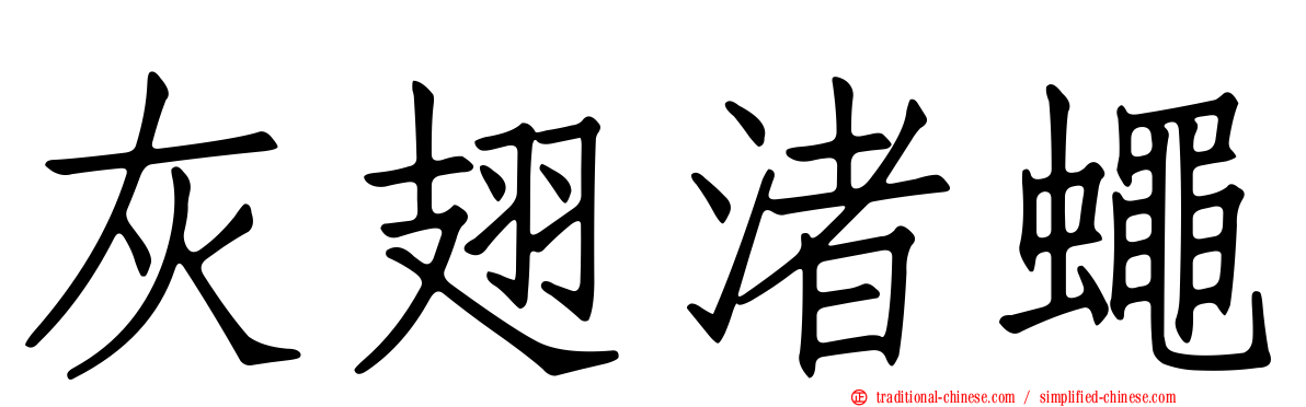 灰翅渚蠅