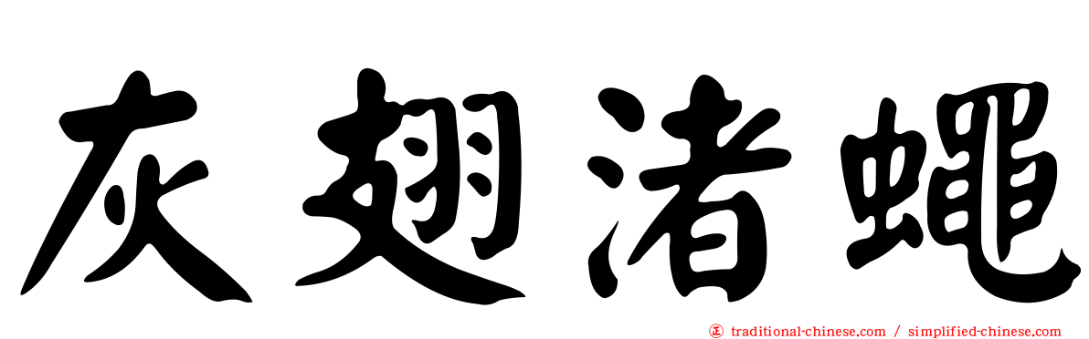 灰翅渚蠅