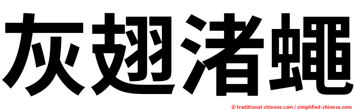 灰翅渚蠅
