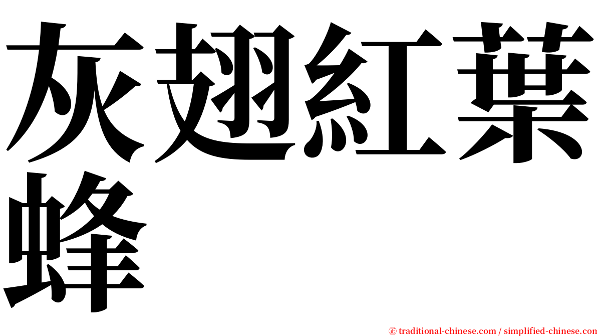灰翅紅葉蜂 serif font