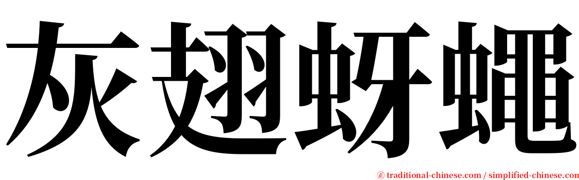 灰翅蚜蠅 serif font