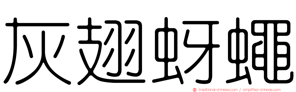 灰翅蚜蠅