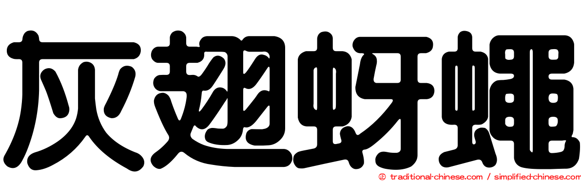 灰翅蚜蠅