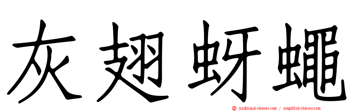 灰翅蚜蠅