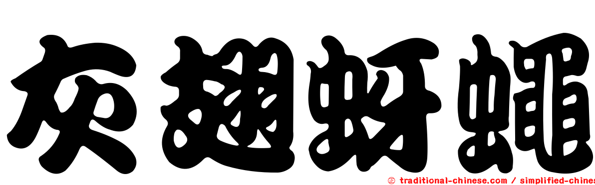 灰翅蚜蠅