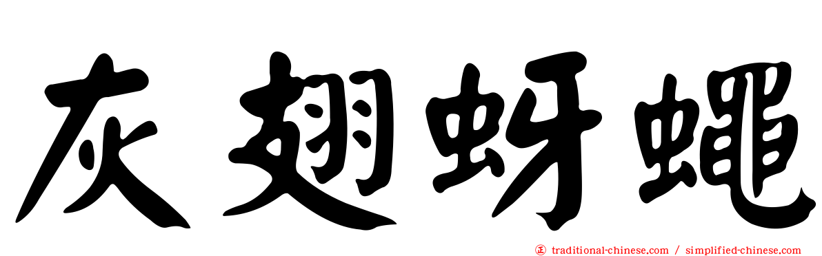 灰翅蚜蠅