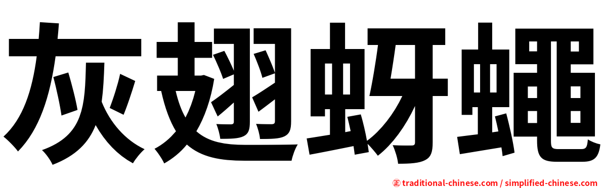 灰翅蚜蠅