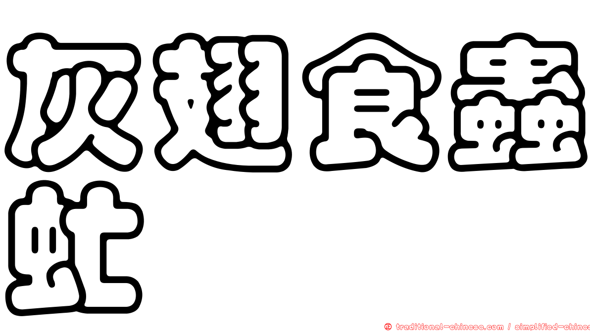 灰翅食蟲虻