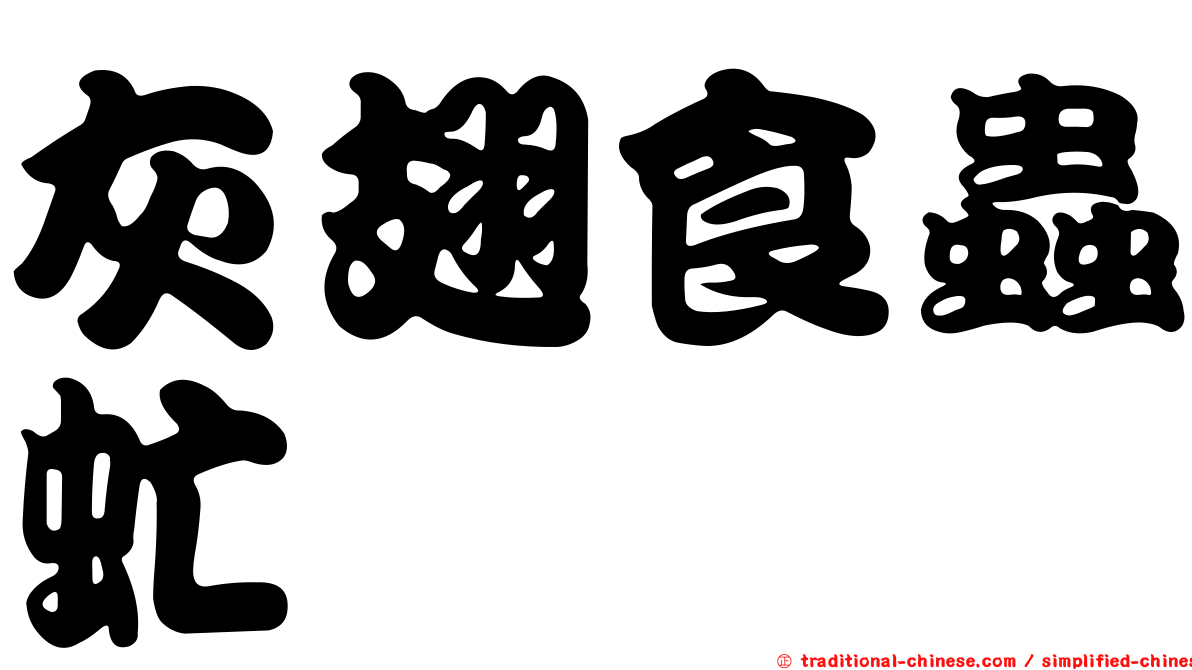 灰翅食蟲虻