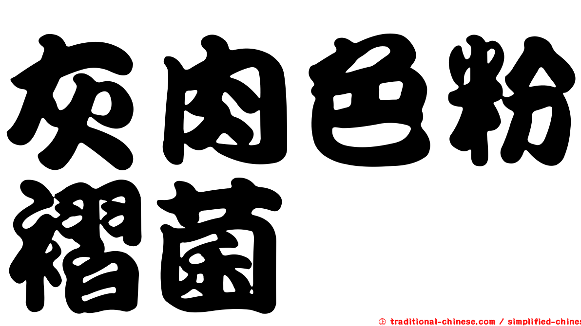 灰肉色粉褶菌