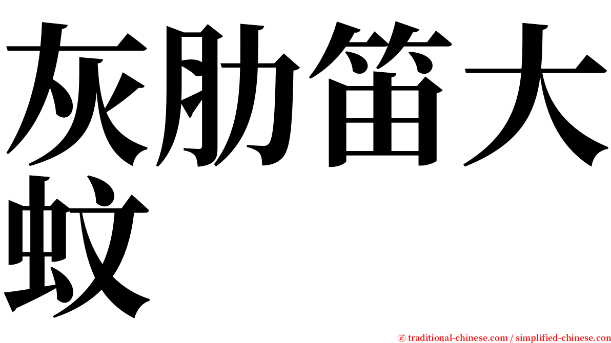 灰肋笛大蚊 serif font