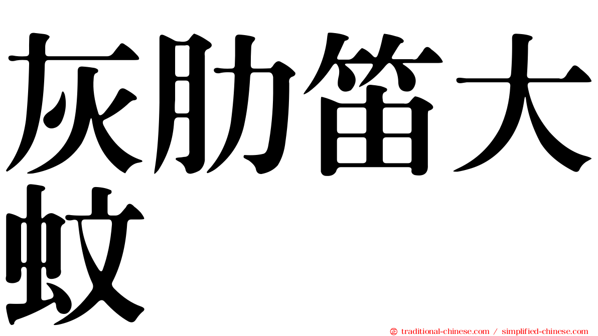 灰肋笛大蚊